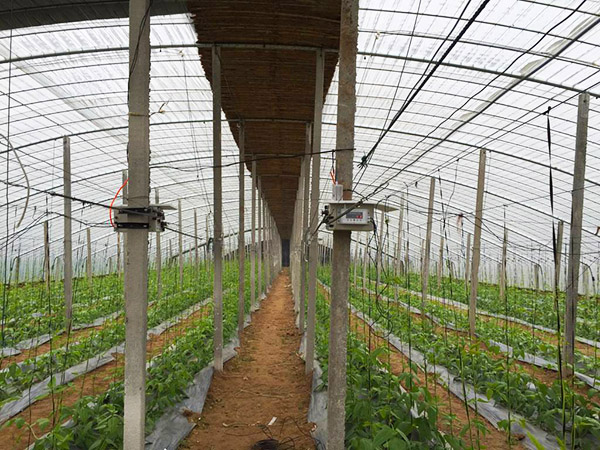 大棚放風(fēng)機(jī)