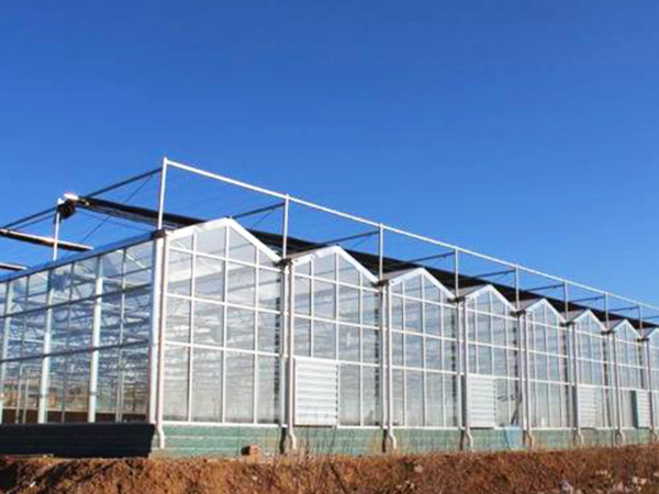 玻璃聯(lián)動(dòng)溫室