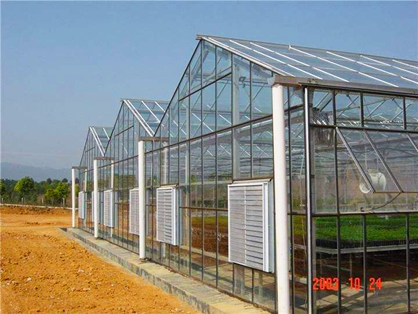 玻璃聯(lián)動(dòng)溫室