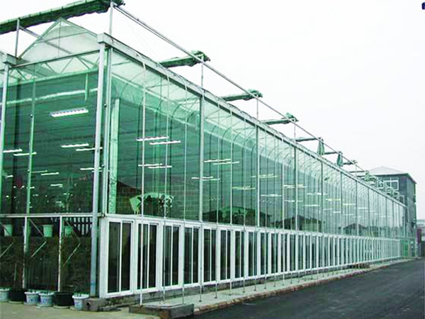 玻璃聯(lián)動(dòng)溫室