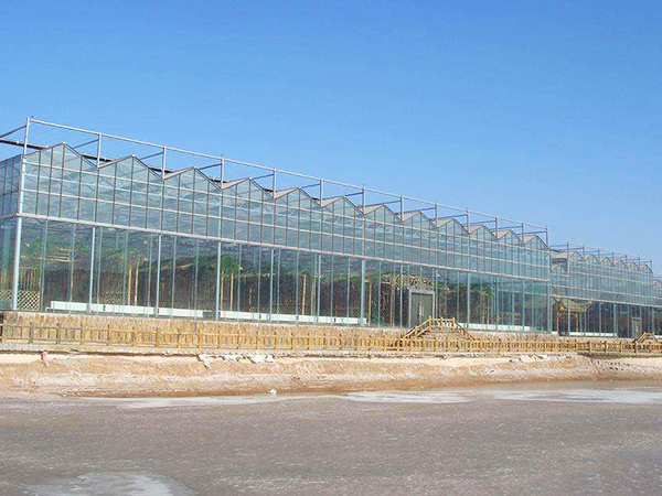 玻璃聯(lián)動(dòng)溫室