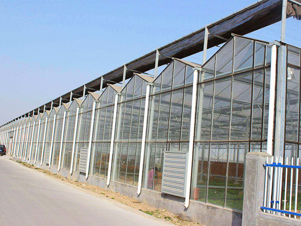 玻璃聯(lián)動溫室