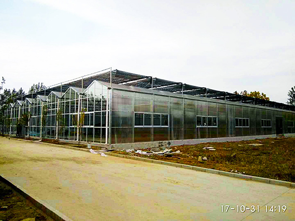 玻璃聯(lián)動(dòng)溫室