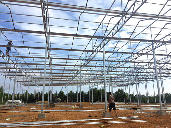 玻璃聯(lián)動(dòng)溫室