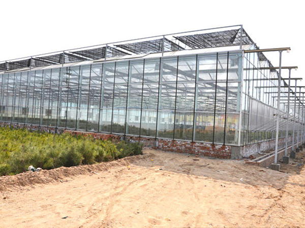 玻璃聯(lián)動(dòng)溫室