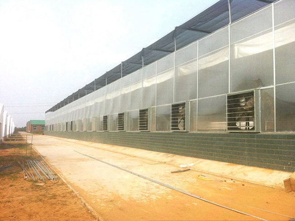 玻璃聯(lián)動溫室