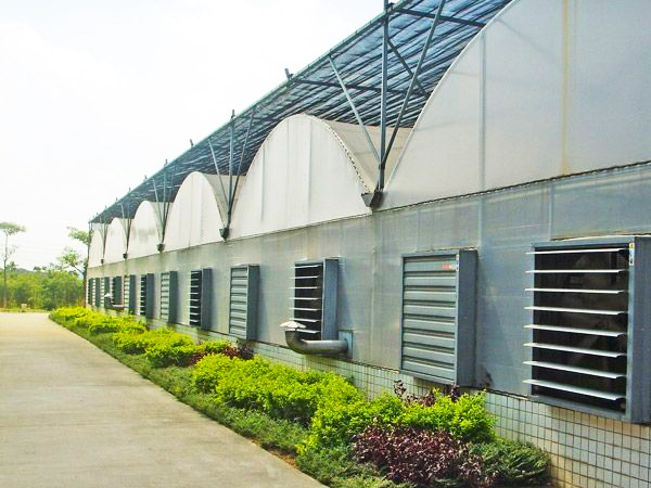 薄膜聯(lián)動(dòng)溫室