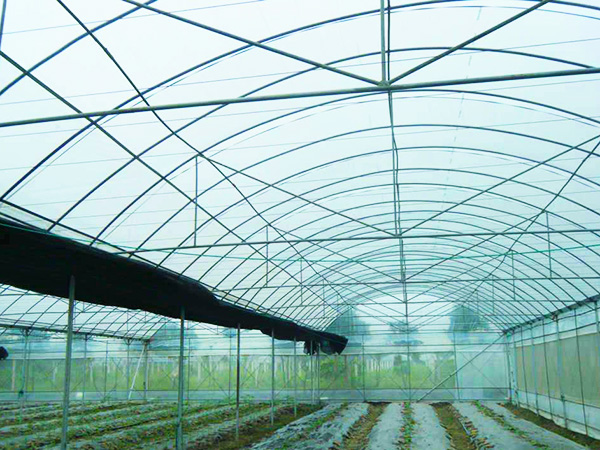 薄膜聯(lián)動(dòng)溫室