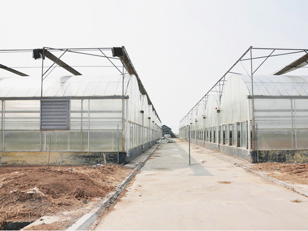 薄膜聯(lián)動(dòng)溫室