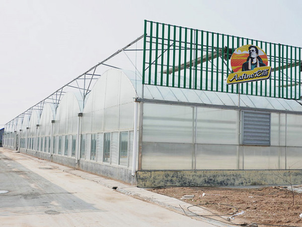 薄膜聯(lián)動溫室