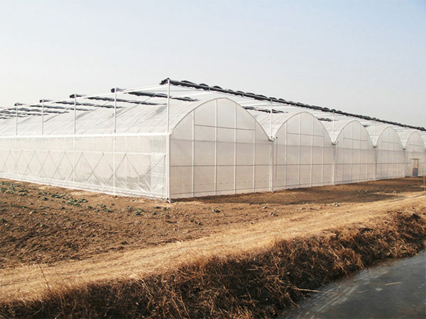 薄膜聯(lián)動溫室