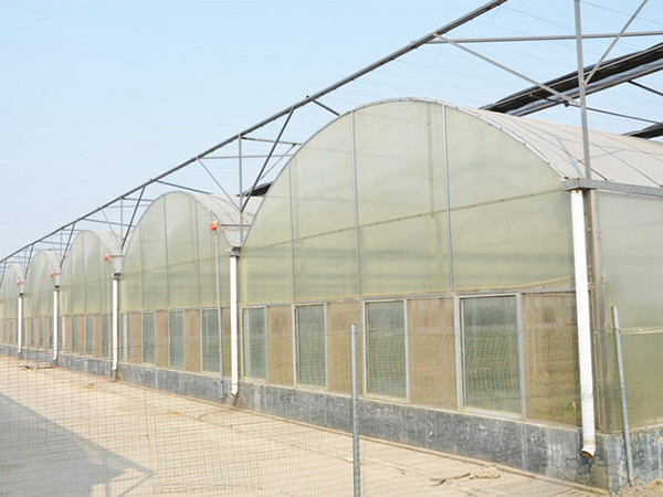 薄膜聯(lián)動溫室