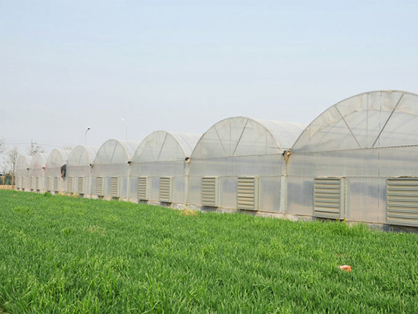 薄膜聯(lián)動溫室
