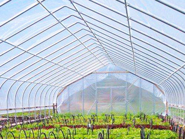 薄膜聯(lián)動(dòng)溫室案例