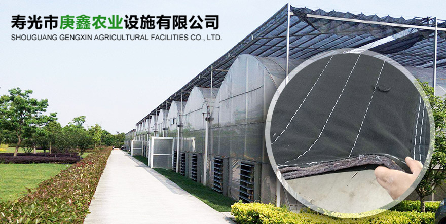 庚鑫農(nóng)業(yè)