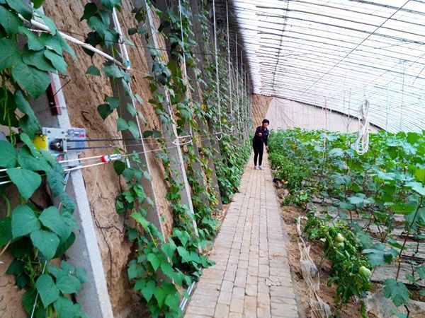 大棚智能放風機