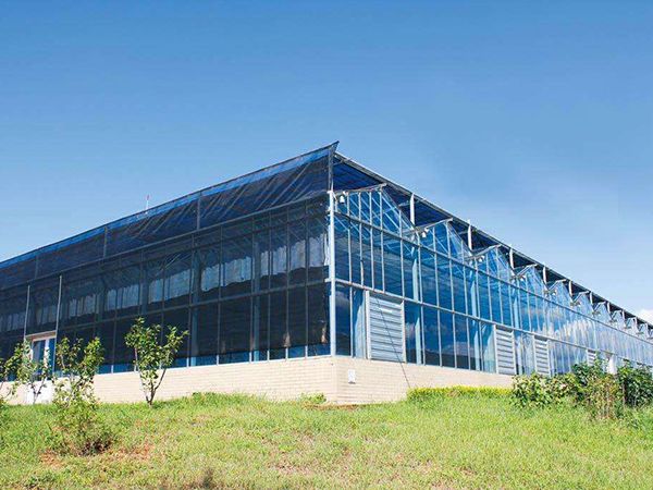 玻璃連棟溫室