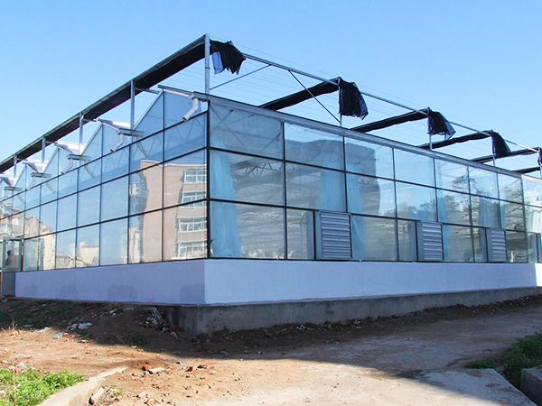 玻璃連棟溫室