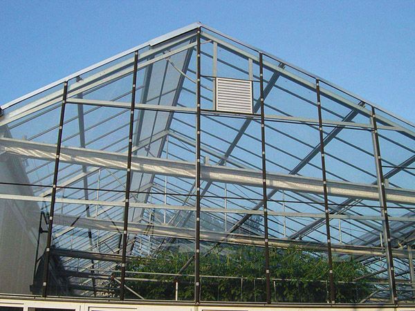 玻璃連棟溫室