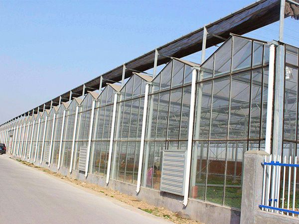 玻璃連棟溫室