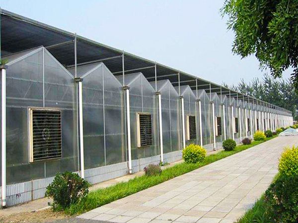 玻璃連棟溫室