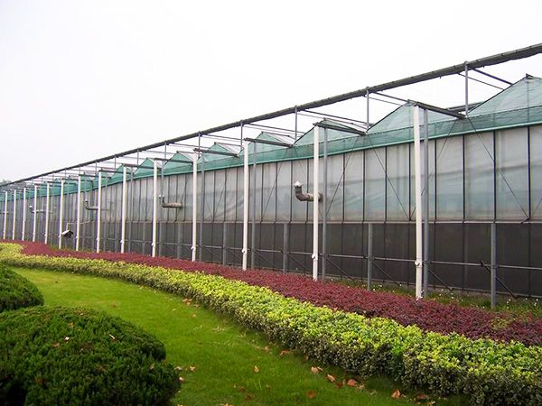 玻璃連棟溫室