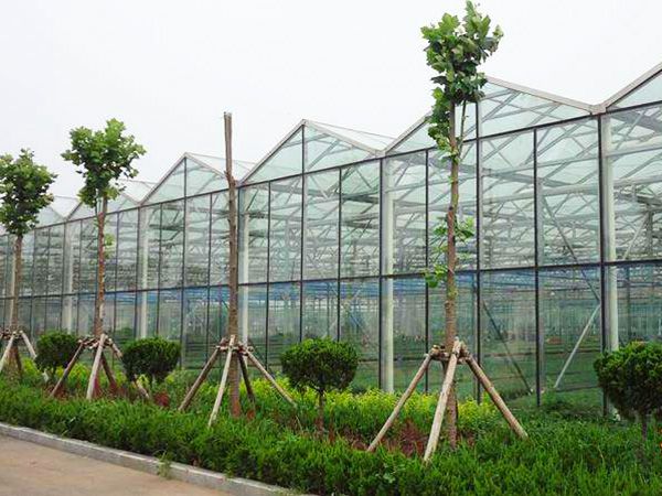 玻璃連棟溫室