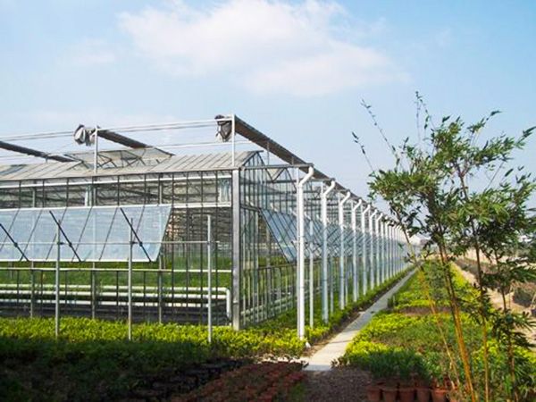 玻璃連棟溫室