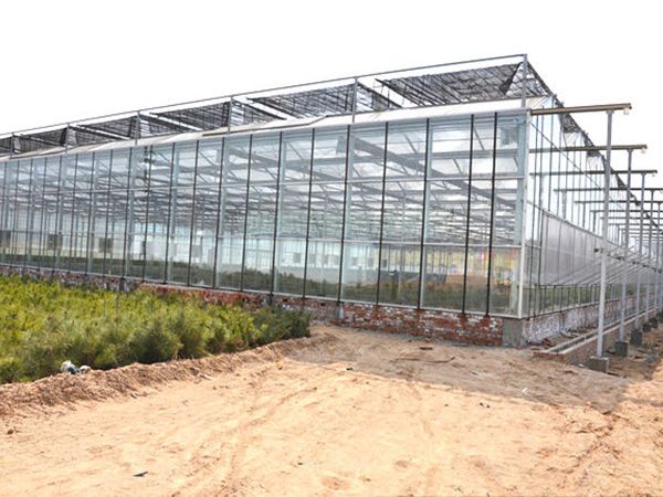 玻璃連棟溫室