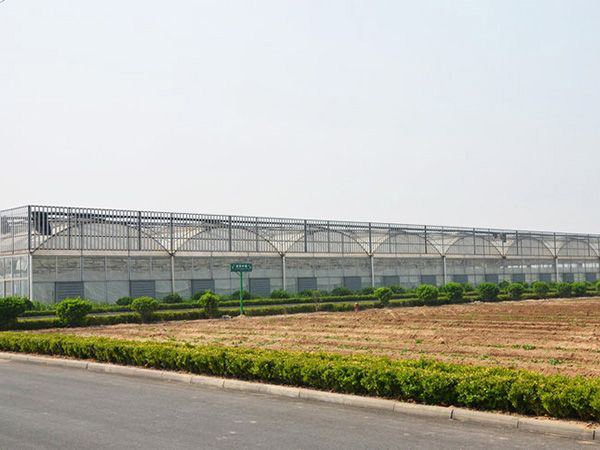 薄膜連棟溫室