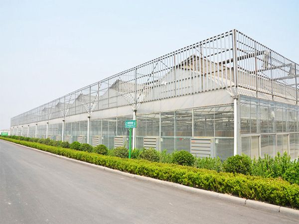 薄膜連棟溫室