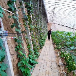 大棚智能放風機