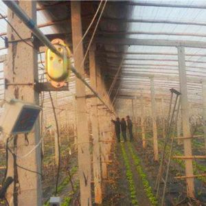 大棚智能放風(fēng)機(jī)