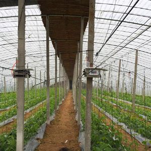 大棚智能放風(fēng)機(jī)