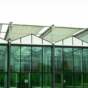 玻璃連棟溫室