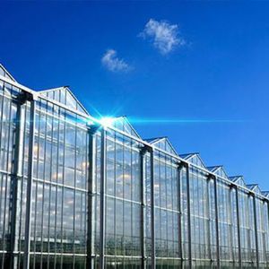 玻璃連棟溫室
