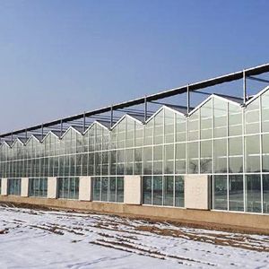 玻璃連棟溫室