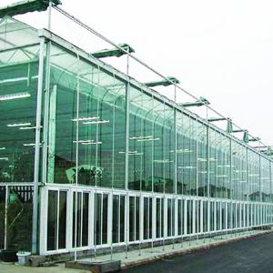 玻璃連棟溫室