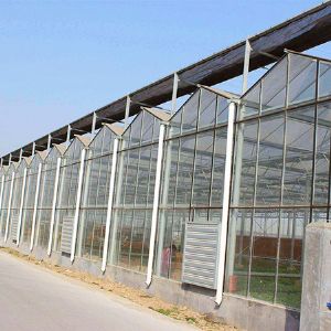 玻璃連棟溫室