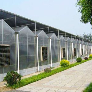 玻璃連棟溫室