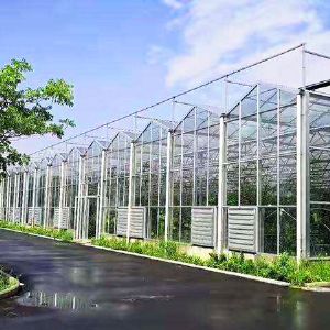 玻璃連棟溫室