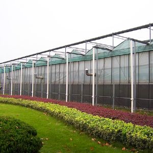 玻璃連棟溫室