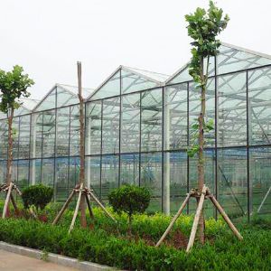 玻璃連棟溫室