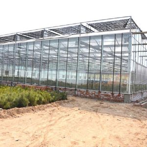玻璃連棟溫室
