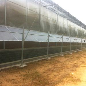 玻璃連棟溫室