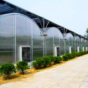 薄膜連棟溫室