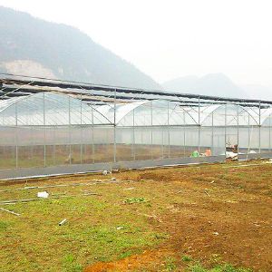 薄膜連棟溫室