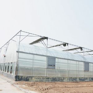 薄膜連棟溫室