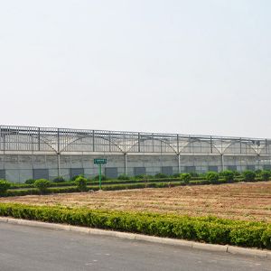 薄膜連棟溫室
