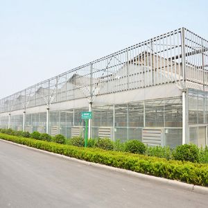 薄膜連棟溫室